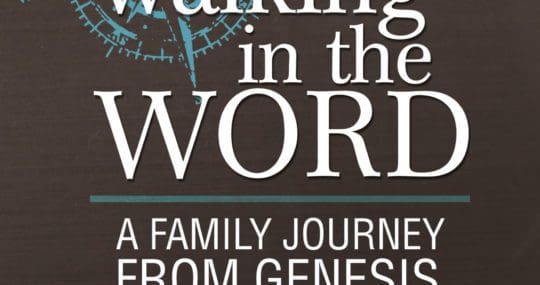 Walking In The World $2.99 kindle sale