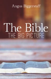The Bible: The Big Picture