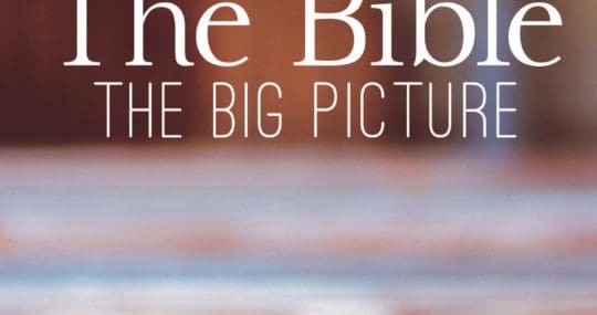 The Bible: The Big Picture